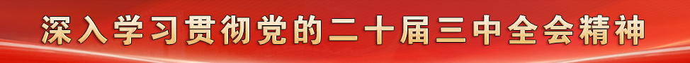 深入學習貫徹黨的二十屆三中全會精神
